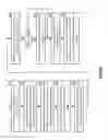 Fig. 22 - Data transmission utilizing partitioning and dispersed storage error encoding
