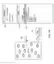 Fig. 06 - CONTENT CONFIGURATION FOR DEVICE PLATFORMS