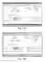 Fig. 08 - EXTENSIBLE COLLABORATIVE SOFTWARE MODELING