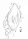 Fig. 02 - Yoga glove