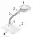 Fig. 01 - Portable feminine urinary device