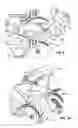 Fig. 09 - Steering assembly for surface cleaning device