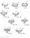 Fig. 06 - Skin Engaging Member Forming A Ring