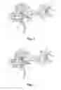 Fig. 03 - Drop-safety mechanism for a firearm