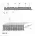 Fig. 08 - OPERATING RESOURCE STORE, HEAT TRANSFER DEVICE, AND HEATING PUMP