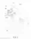 Fig. 02 - Encrusting machine