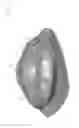Fig. 02 - Tracheostoma valve
