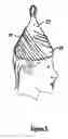 Fig. 07 - Method and kit for the multiple treatment of a head of hair