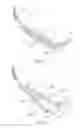 Fig. 02 - HAIR DRESSING DEVICE