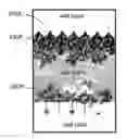 Fig. 01 - METHOD OF ADPATING A PAINT TRANSFER IMAGE TO THE GENERATION OF A MURAL