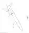 Fig. 05 - Self-Adhesive Notepaper Holder