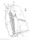 Fig. 08 - Gusseted carton