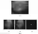Fig. 07 - Detection of chemicals with infrared light