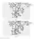 Fig. 06 - Interchangeable three dimensional (3D) glasses and three dimensional connect-the-dots drawings