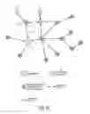 Fig. 09 - Improvements to body area networks