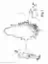 Fig. 02 - Gesture-based animal trainer
