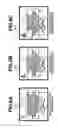 Fig. 08 - Imaging apparatus, method for controlling the same, and storage medium