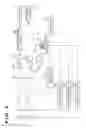 Fig. 09 - Focus detection apparatus