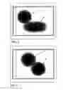Fig. 07 - System and method of aligning a sample