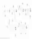 Fig. 22 - Vehicular rearview mirror elements and assemblies incorporating these elements