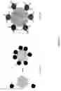 Fig. 02 - Quantum dot illumination devices and methods of use