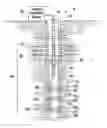 Fig. 01 - TECHNIQUE AND SYSTEM TO DETERMINE PROPERTIES OF A SYSTEM OF HYDRAULIC FRACTURES