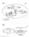 Fig. 02 - Network element for changing the timeslot type according to the received information