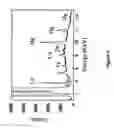 Fig. 06 - Method for analysis using X-ray fluorescence