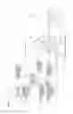Fig. 02 - Analyzing apparatus