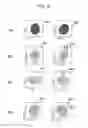 Fig. 06 - Magnetic resonance imaging apparatus and imaging slice determination method