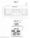 Fig. 06 - Method for automated processing of digital images of tissue micro-arrays (TMA)