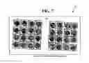 Fig. 07 - Method for automated processing of digital images of tissue micro-arrays (TMA)