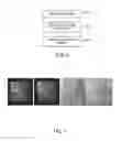 Fig. 06 - Method and system for learning based object detection in medical images