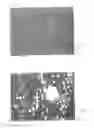 Fig. 02 - Method for the production of tools made of alloyed steel and tools in particular for the chip-removing machining of metals