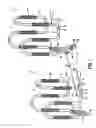 Fig. 02 - Multiple loop reactor for olefin polymerization