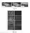 Fig. 08 - Compositions for bacterial mediated gene silencing and methods of using same