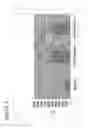 Fig. 07 - USE ADIPOSE TISSUE-DERIVED REGENERATIVE CELLS IN THE MODULATION OF INFLAMMATION IN THE PANCREAS AND IN THE KIDNEY
