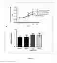 Fig. 05 - Treatment of limb ischemia