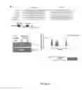 Fig. 12 - Methods of modulating smooth muscle cell proliferation and differentiation