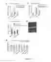 Fig. 16 - Methods of modulating smooth muscle cell proliferation and differentiation