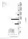 Fig. 07 - STIMULATION OF INNATE IMMUNITY WITH AN ANTIGEN FROM BACTERIAL ORIGIN