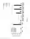 Fig. 08 - STIMULATION OF INNATE IMMUNITY WITH AN ANTIGEN FROM BACTERIAL ORIGIN