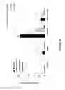 Fig. 22 - STIMULATION OF INNATE IMMUNITY WITH AN ANTIGEN FROM BACTERIAL ORIGIN