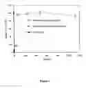 Fig. 02 - BIOACTIVE COMPOSITION INCLUDING STABILIZED PROTEIN AND PROCESS FOR PRODUCING THE SAME