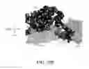 Fig. 131 - Monoclonal antibodies to proprotein convertase subtilisin kexin type 9 (PCSK9)