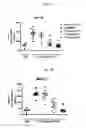 Fig. 08 - Human Oncostatin M Antibodies and Methods of Use