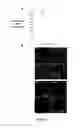 Fig. 07 - Modified protozoan expressing at least two variable surface proteins (VSP), a vaccine comprising it and procedures, uses, and methods thereof