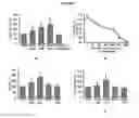 Fig. 08 - THERAPEUTIC VESICLES