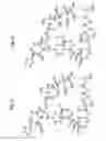 Fig. 07 - Macrocyclic lactone compounds and methods for their use