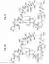 Fig. 08 - Macrocyclic lactone compounds and methods for their use